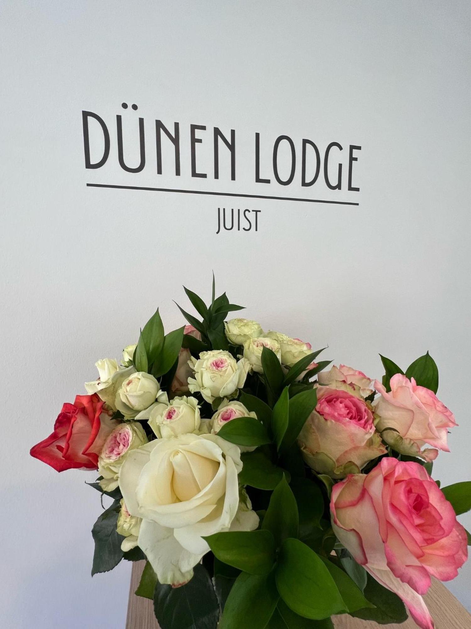 Duenen Lodge 3 Juist Buitenkant foto